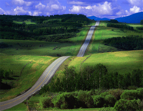 Road to Rainbow